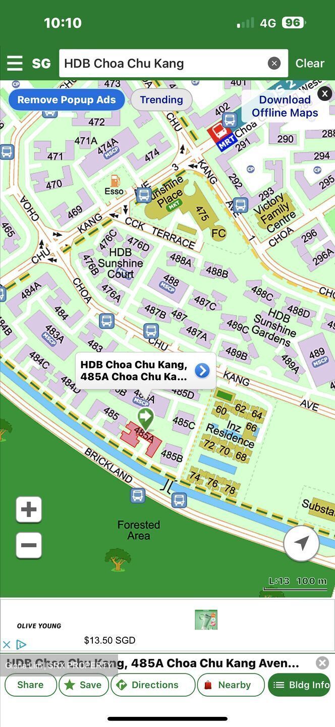 Blk 485A Choa Chu Kang Avenue 5 (Choa Chu Kang), HDB 4 Rooms #597914371